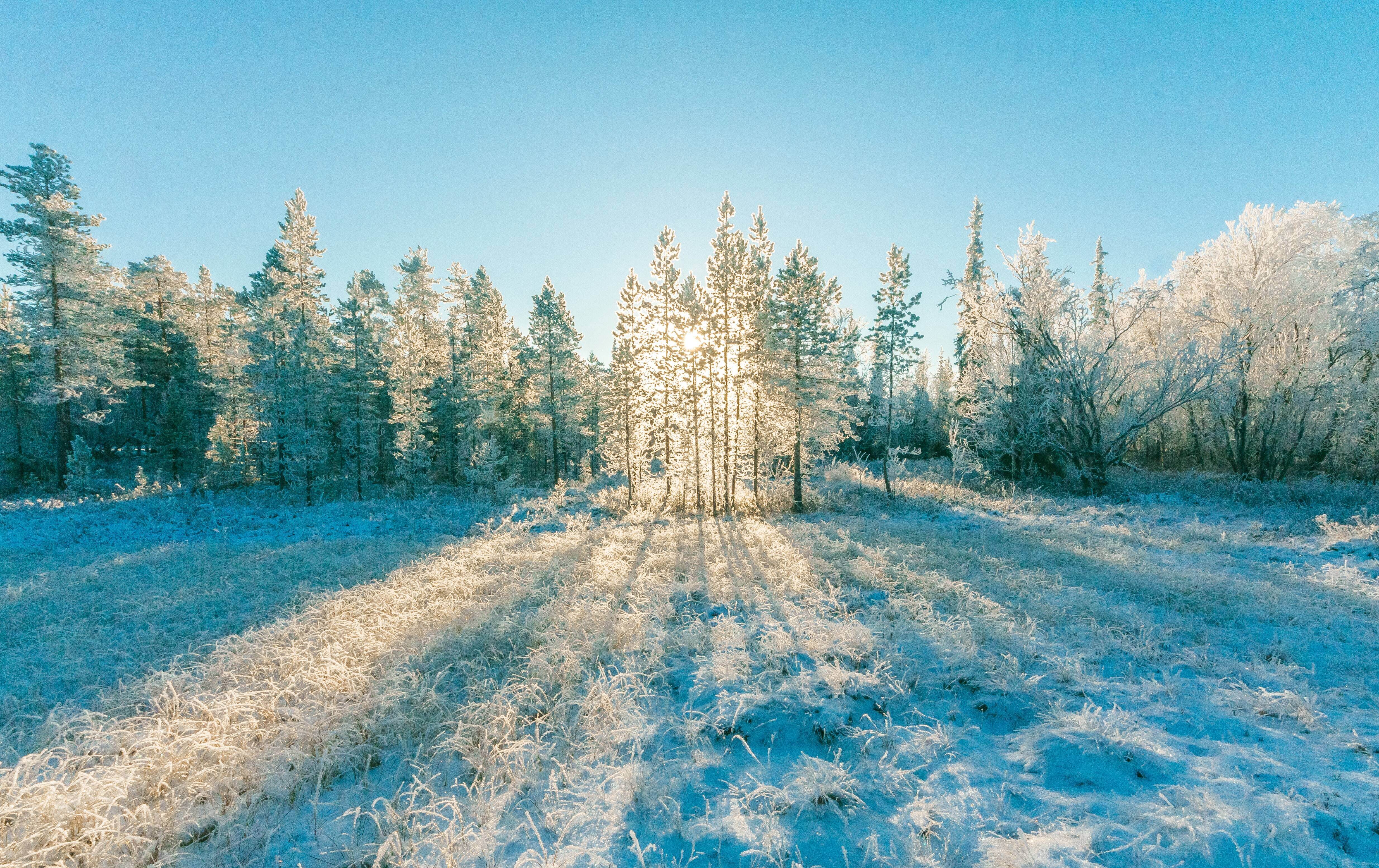 Holiday B2B Tech Marketing