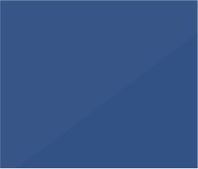 ResultsIQ Services background